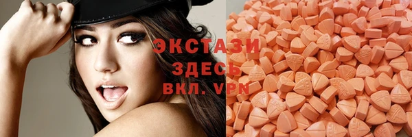 индика Бугульма