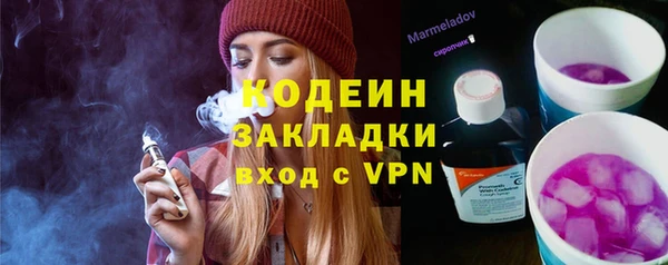 индика Бугульма