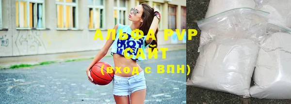 СК Бронницы