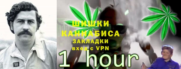 СК Бронницы