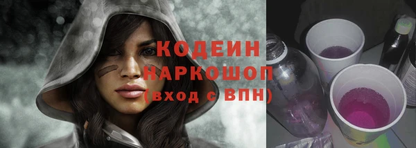 индика Бугульма