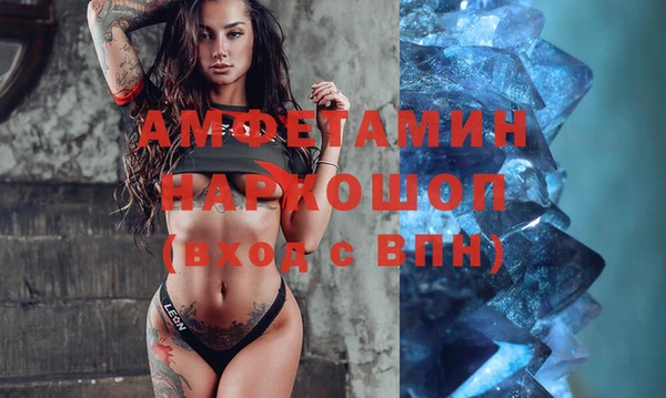 индика Бугульма