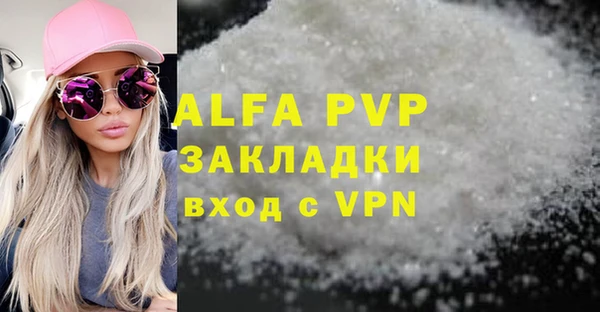 СК Бронницы