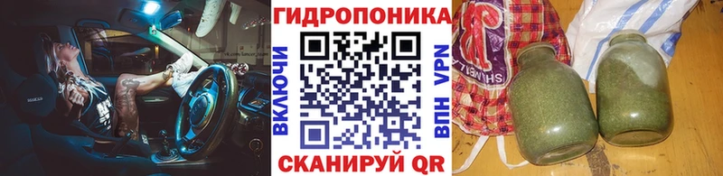 Конопля планчик  Красково 